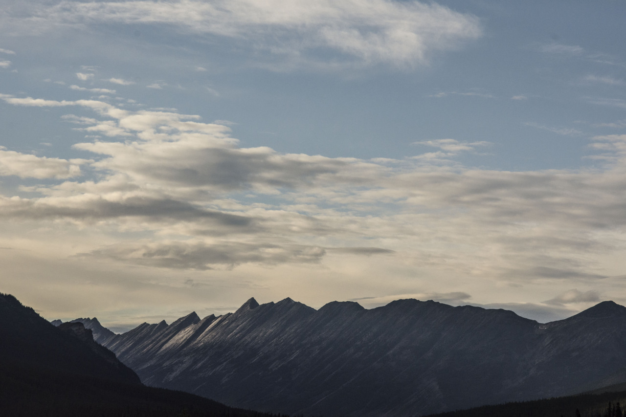 Archillect ID 402635