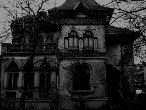 Archillect ID 402672