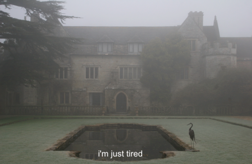 Archillect ID 402676