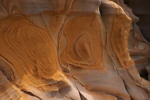 Archillect ID 402677