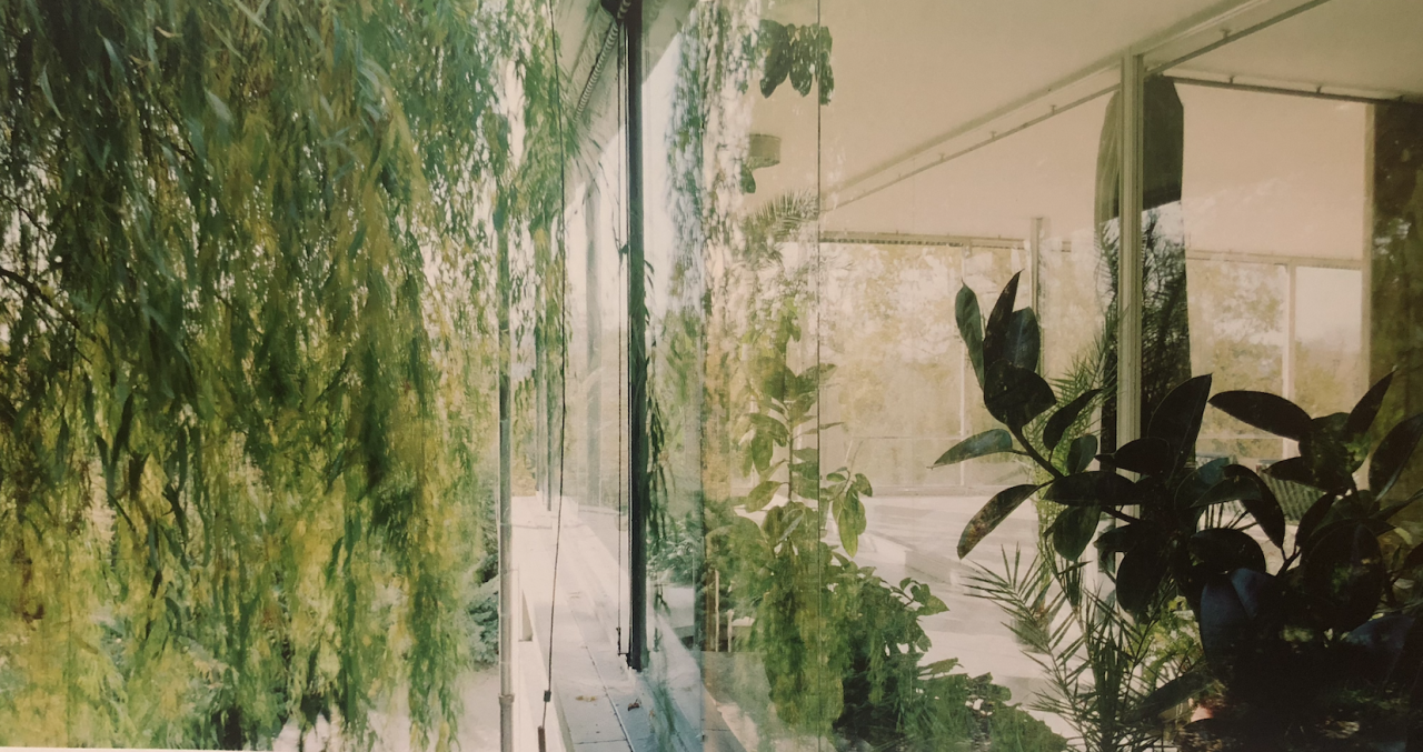 Archillect ID 402698