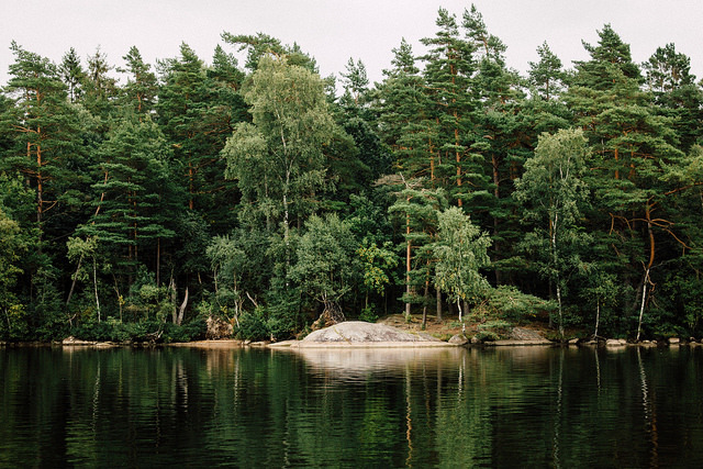 Archillect ID 402726