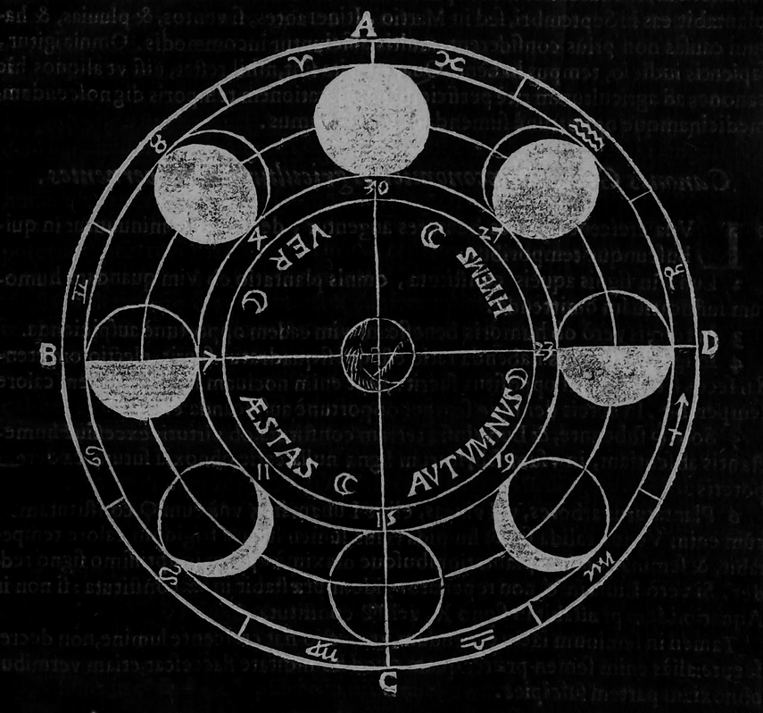 Archillect ID 402753