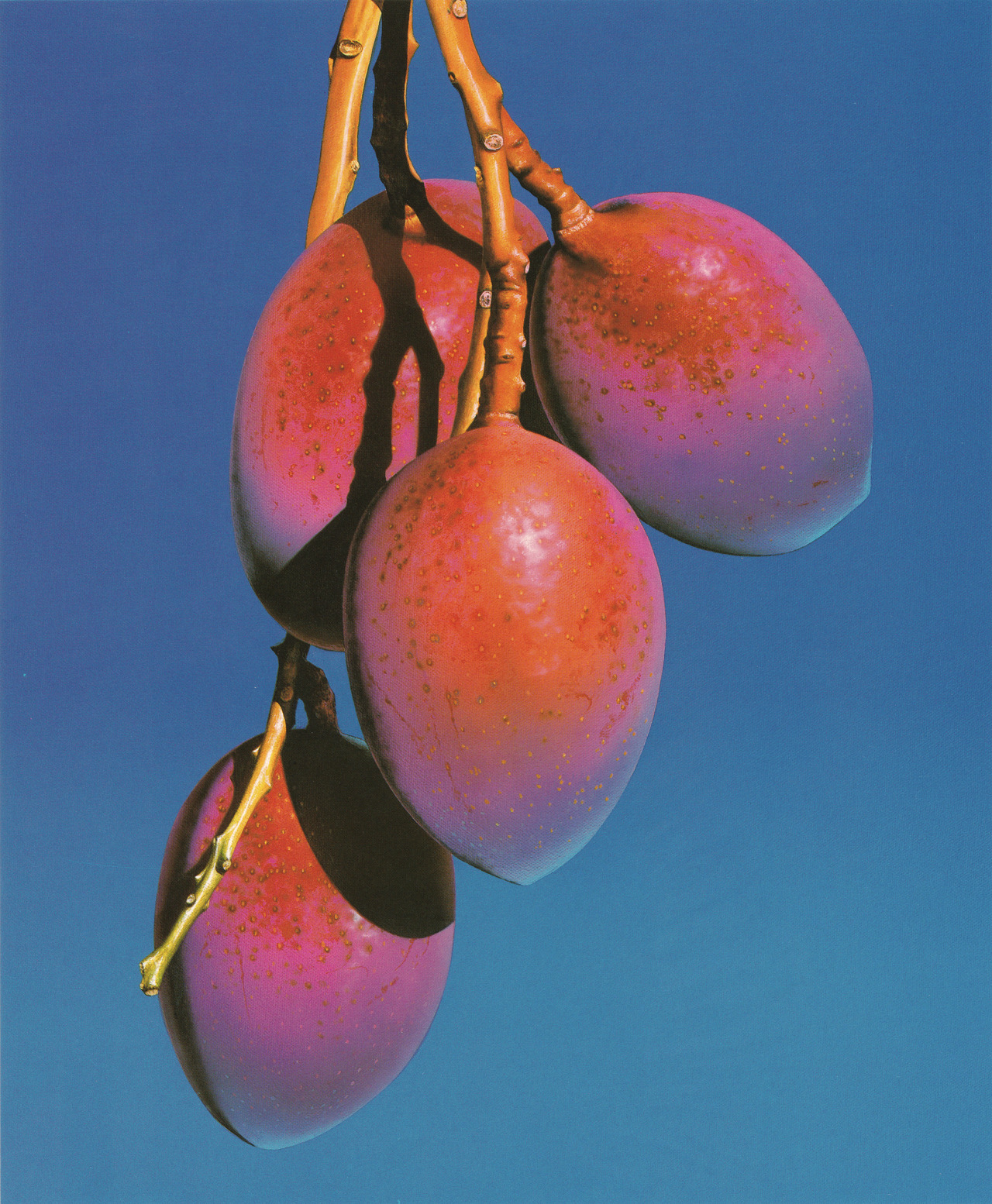 Archillect ID 402770