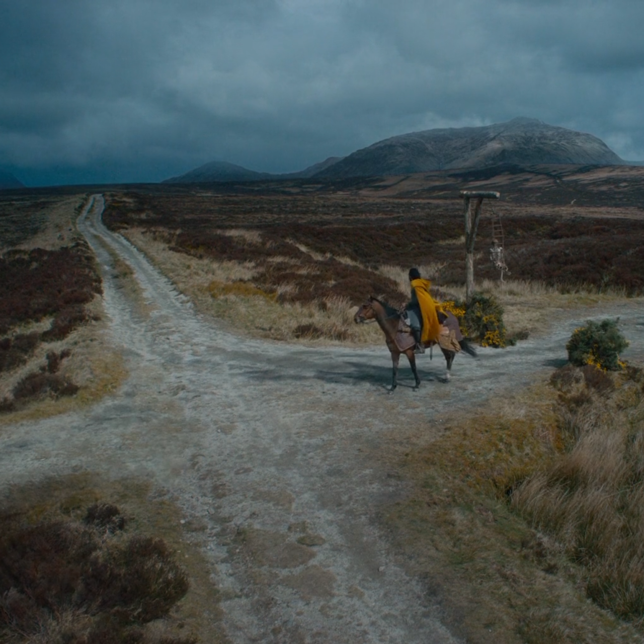 Archillect ID 402790