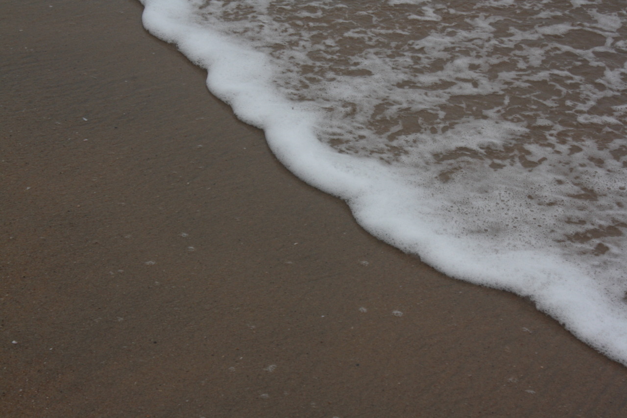 Archillect ID 402822