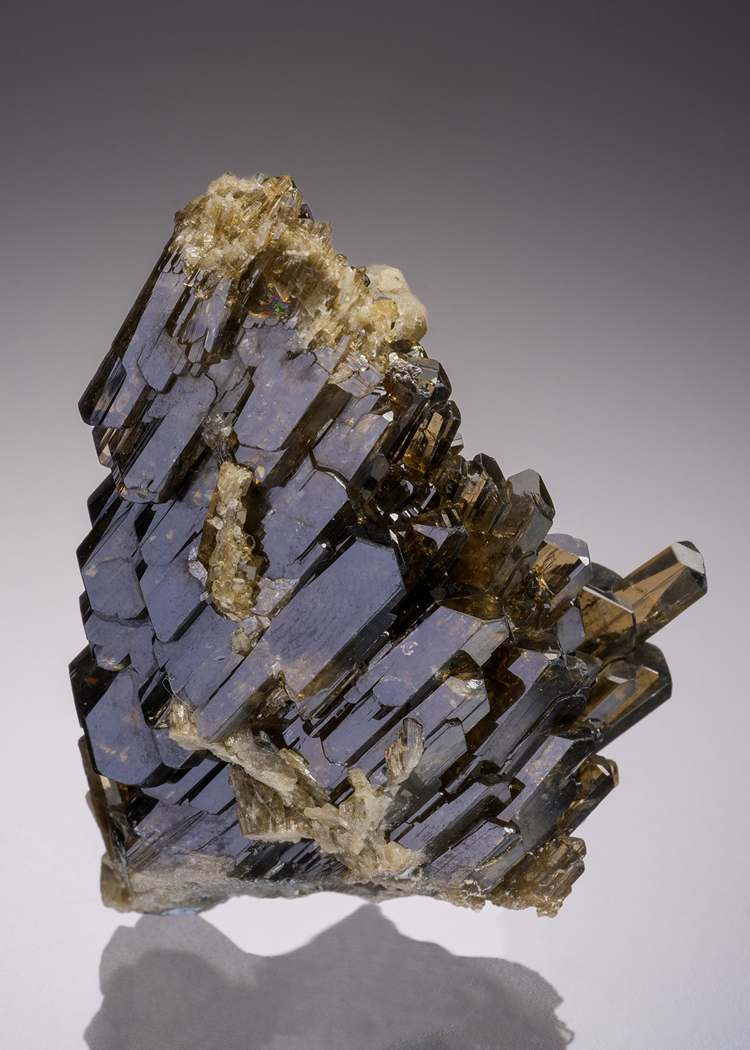 Archillect ID 402842