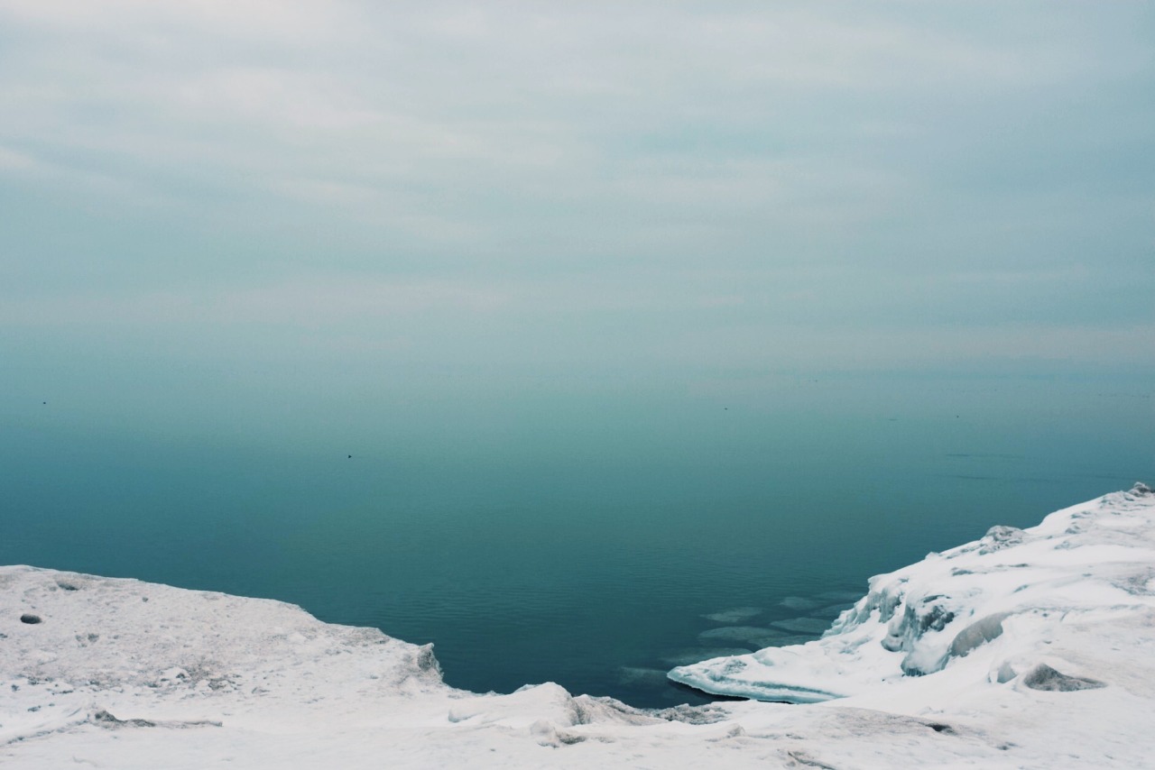 Archillect ID 402845