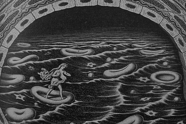 Archillect ID 402879