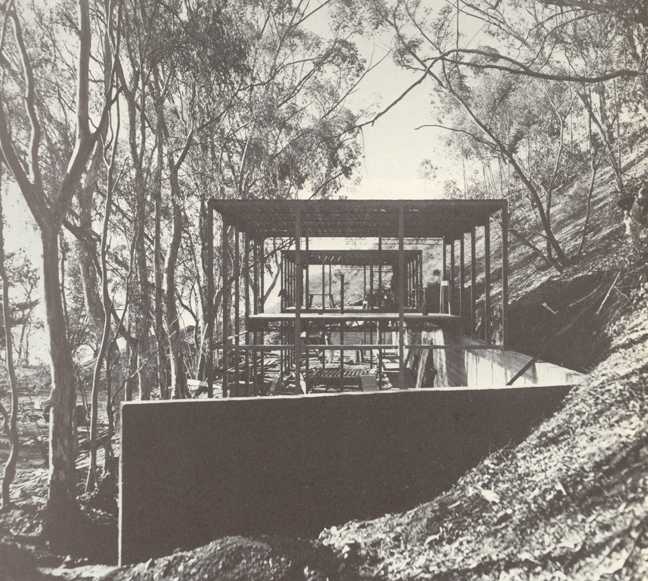 Archillect ID 403031