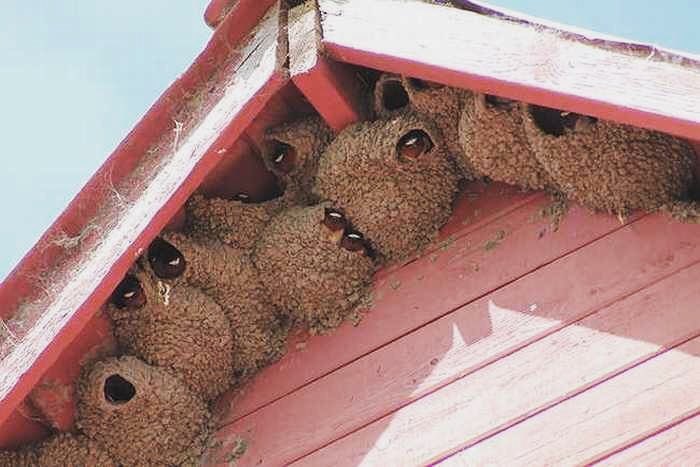 Archillect ID 403080