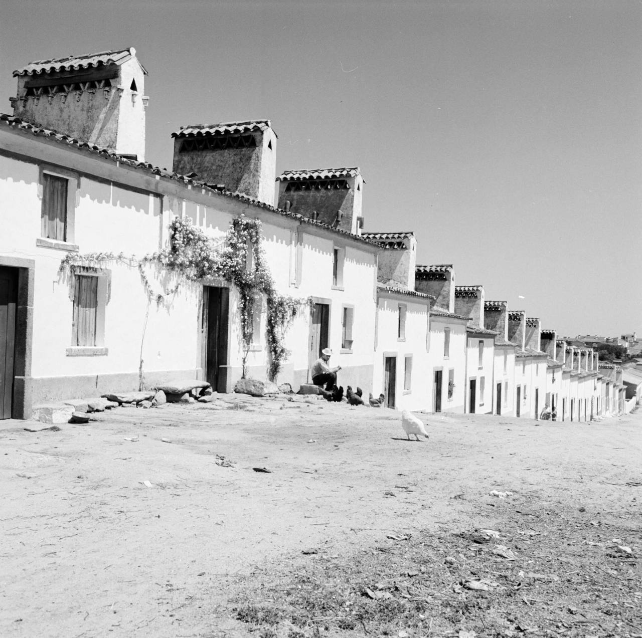 Archillect ID 403150