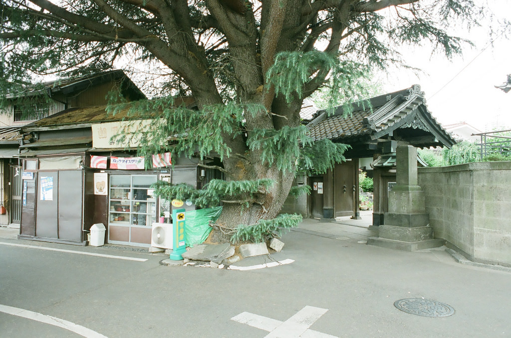 Archillect ID 403151