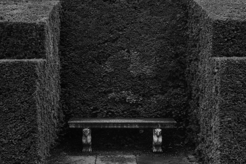 Archillect ID 403231