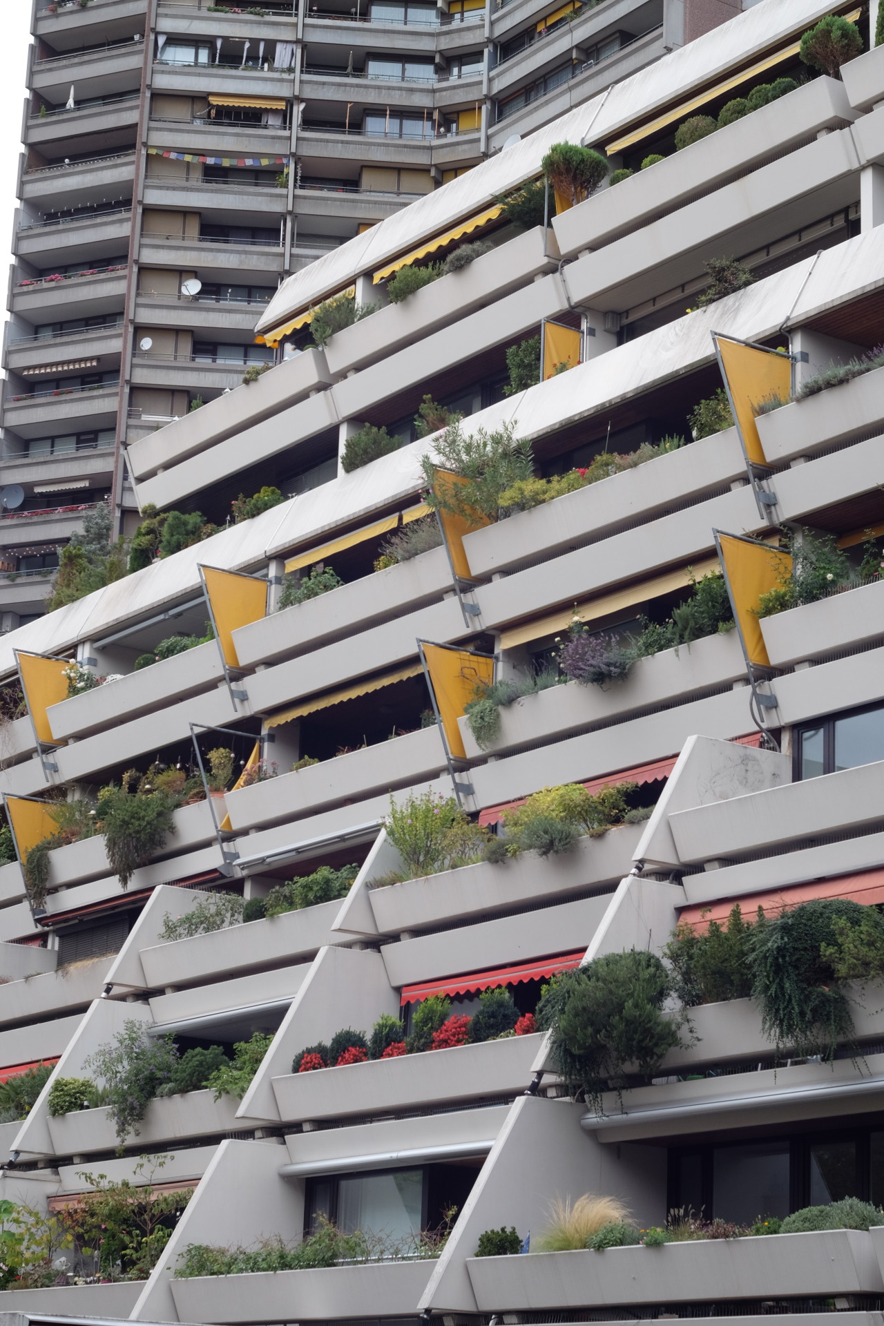 Archillect ID 403263