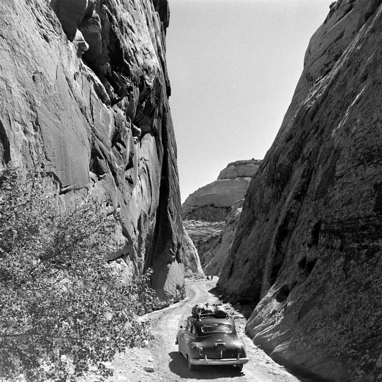 Archillect ID 403277