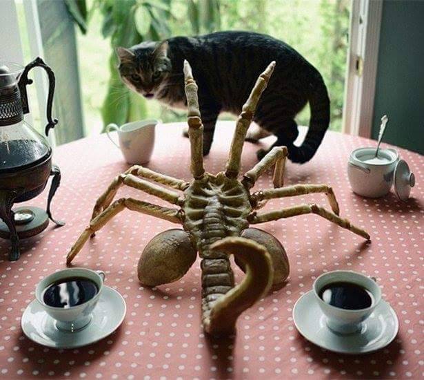 Archillect ID 403283