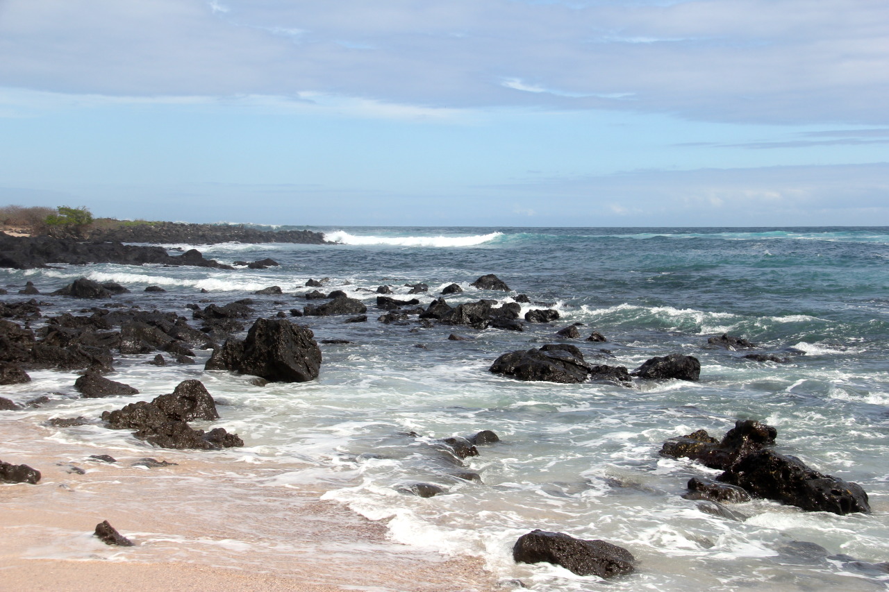 Archillect ID 403332