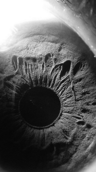 Archillect ID 403335