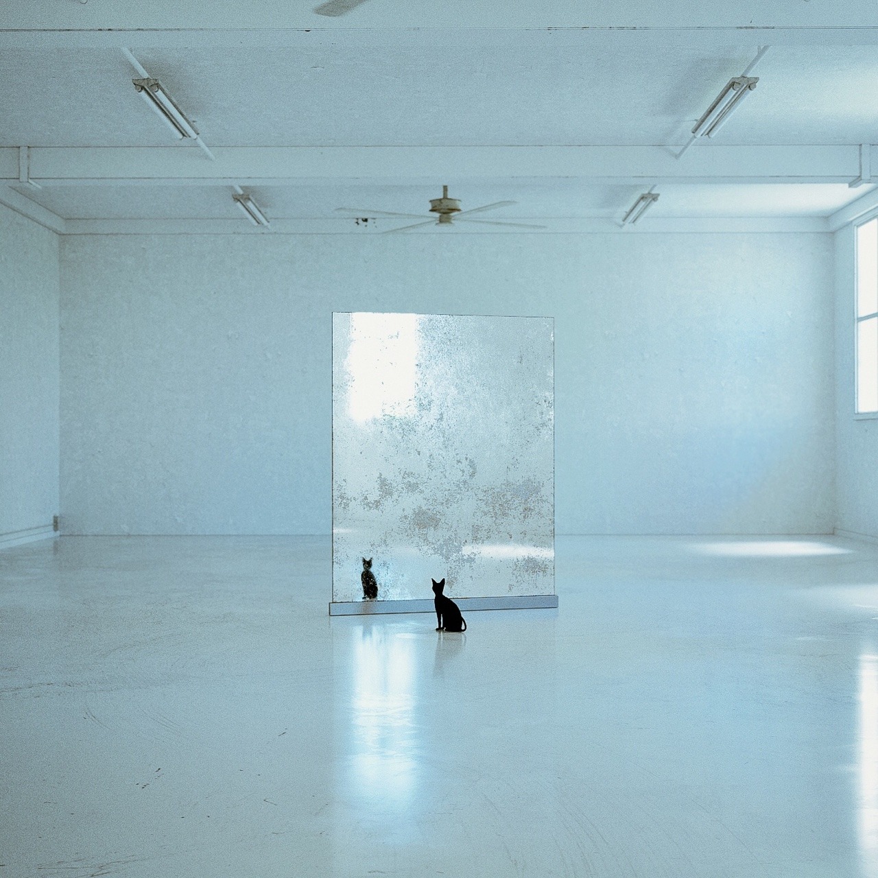 Archillect ID 403392