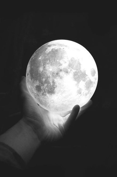 Archillect ID 403405