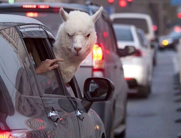 Archillect ID 403429