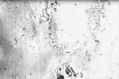 Archillect ID 403441