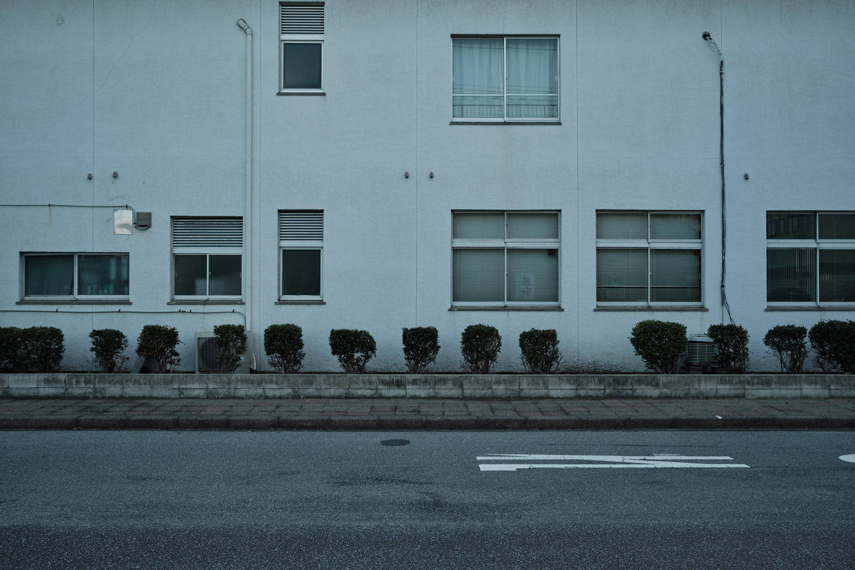 Archillect ID 403442