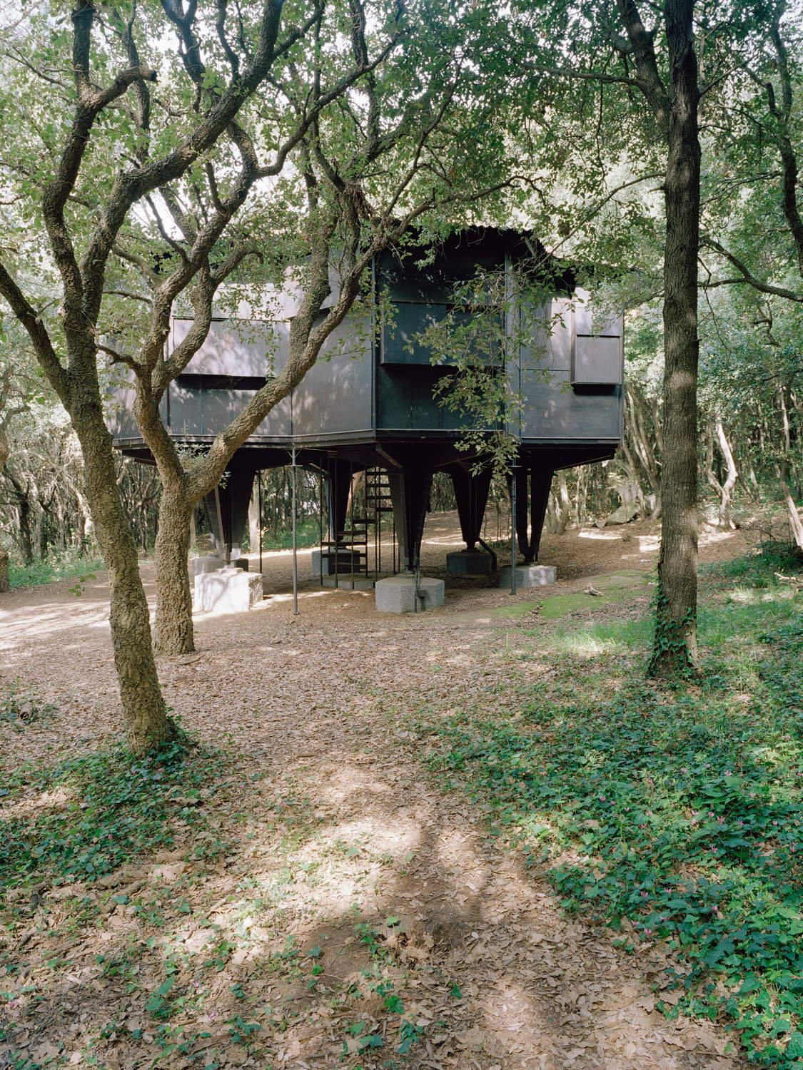 Archillect ID 403465