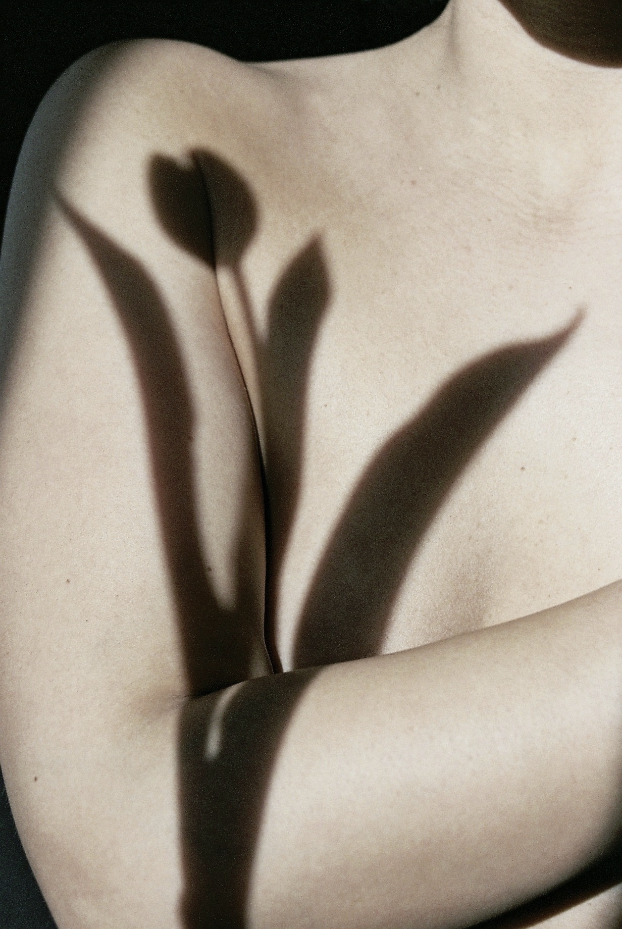 Archillect ID 403476