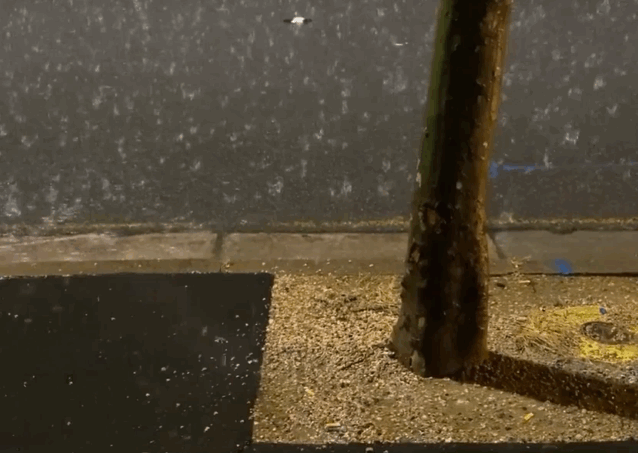 Archillect ID 403583