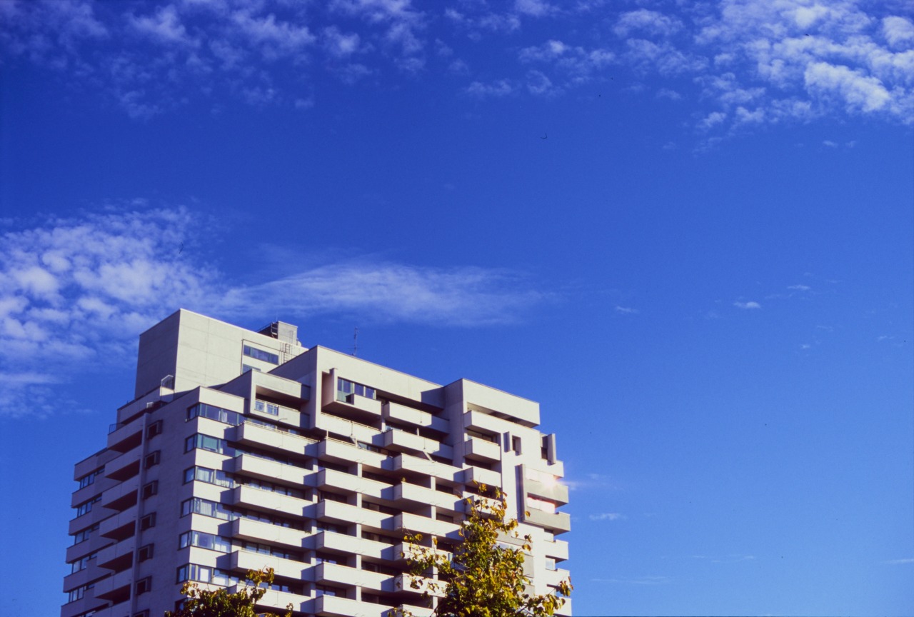 Archillect ID 403599