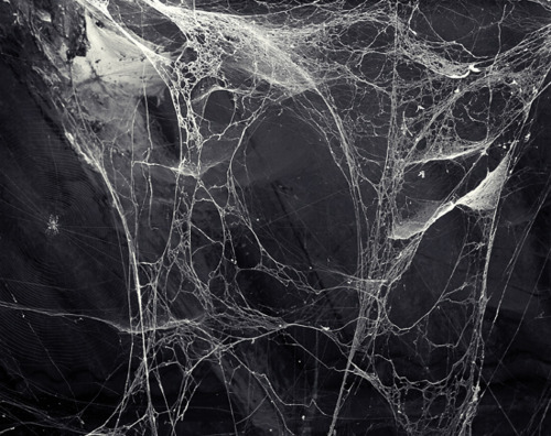 Archillect ID 403602