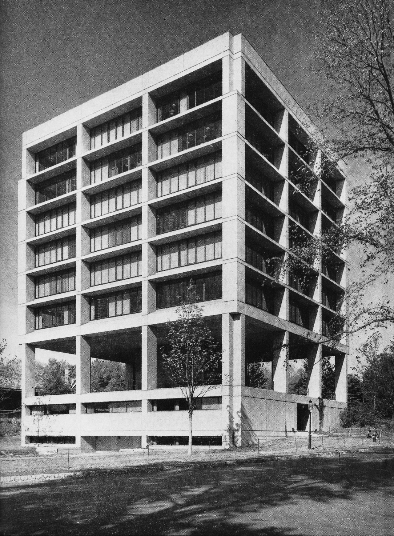 Archillect ID 403643