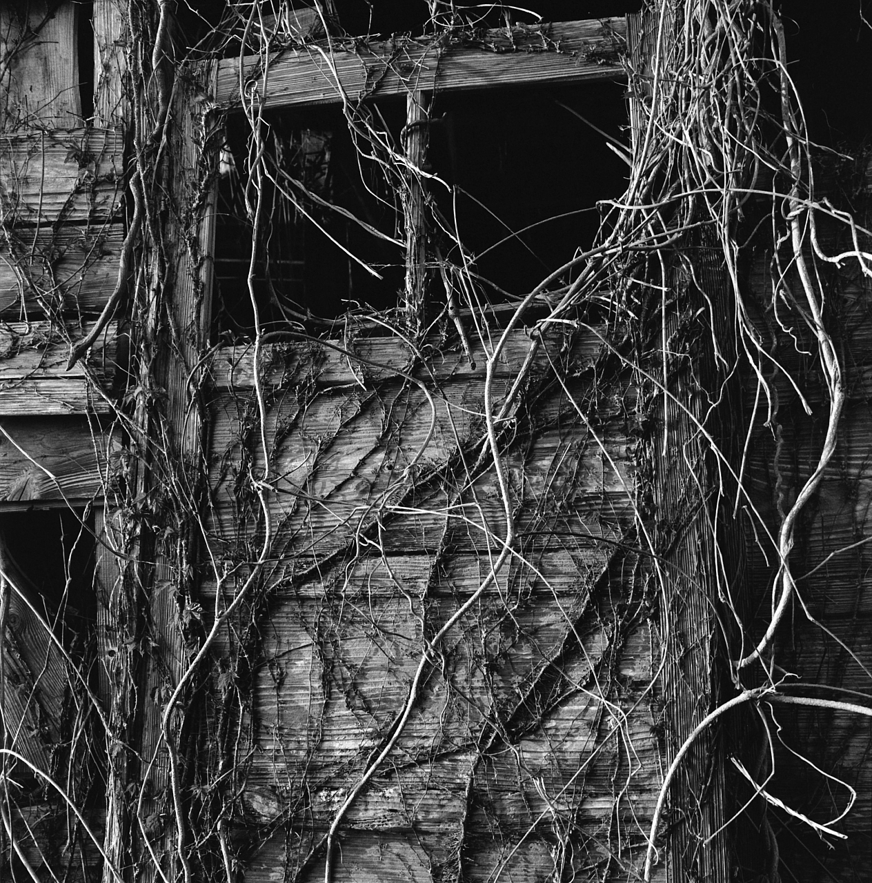 Archillect ID 403680