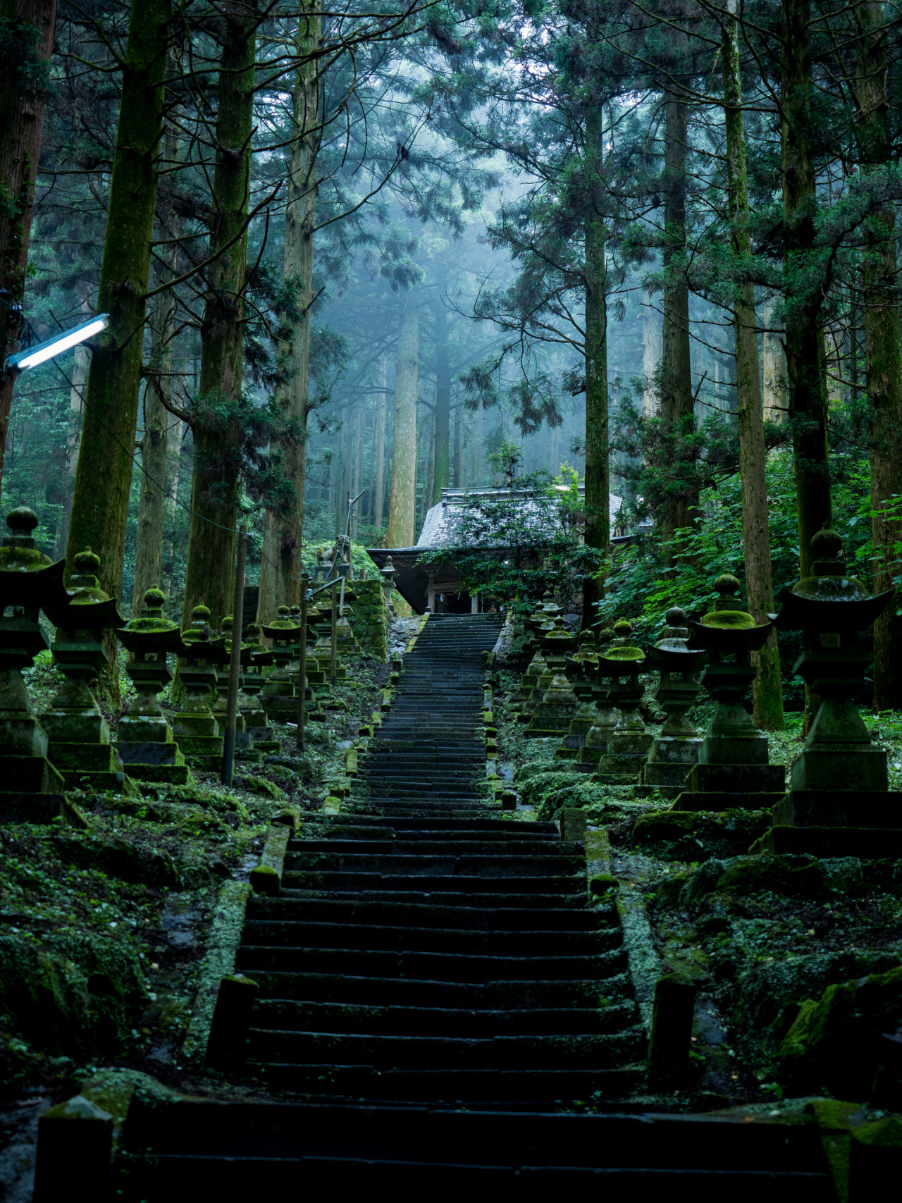 Archillect ID 403755