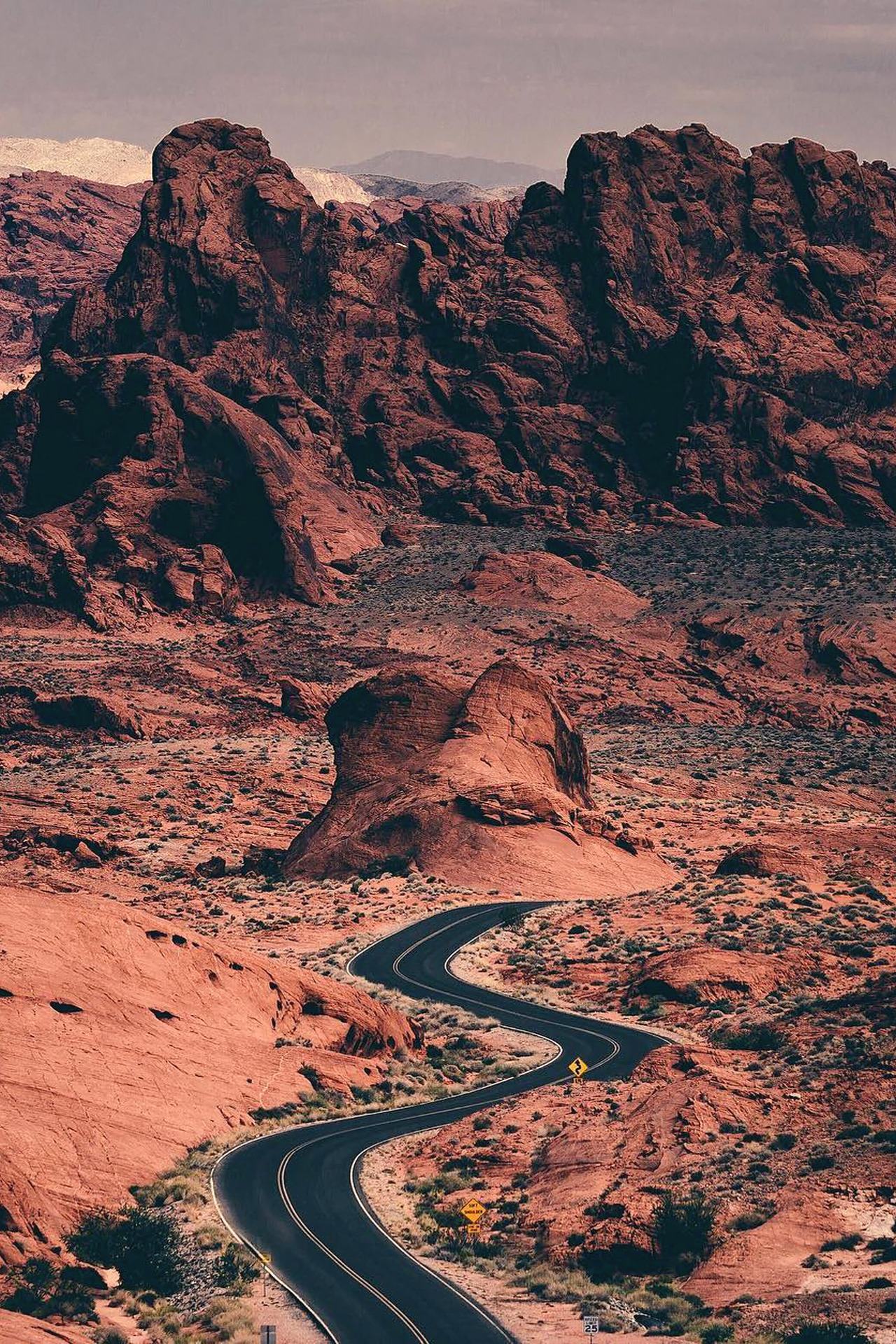 Archillect ID 403757