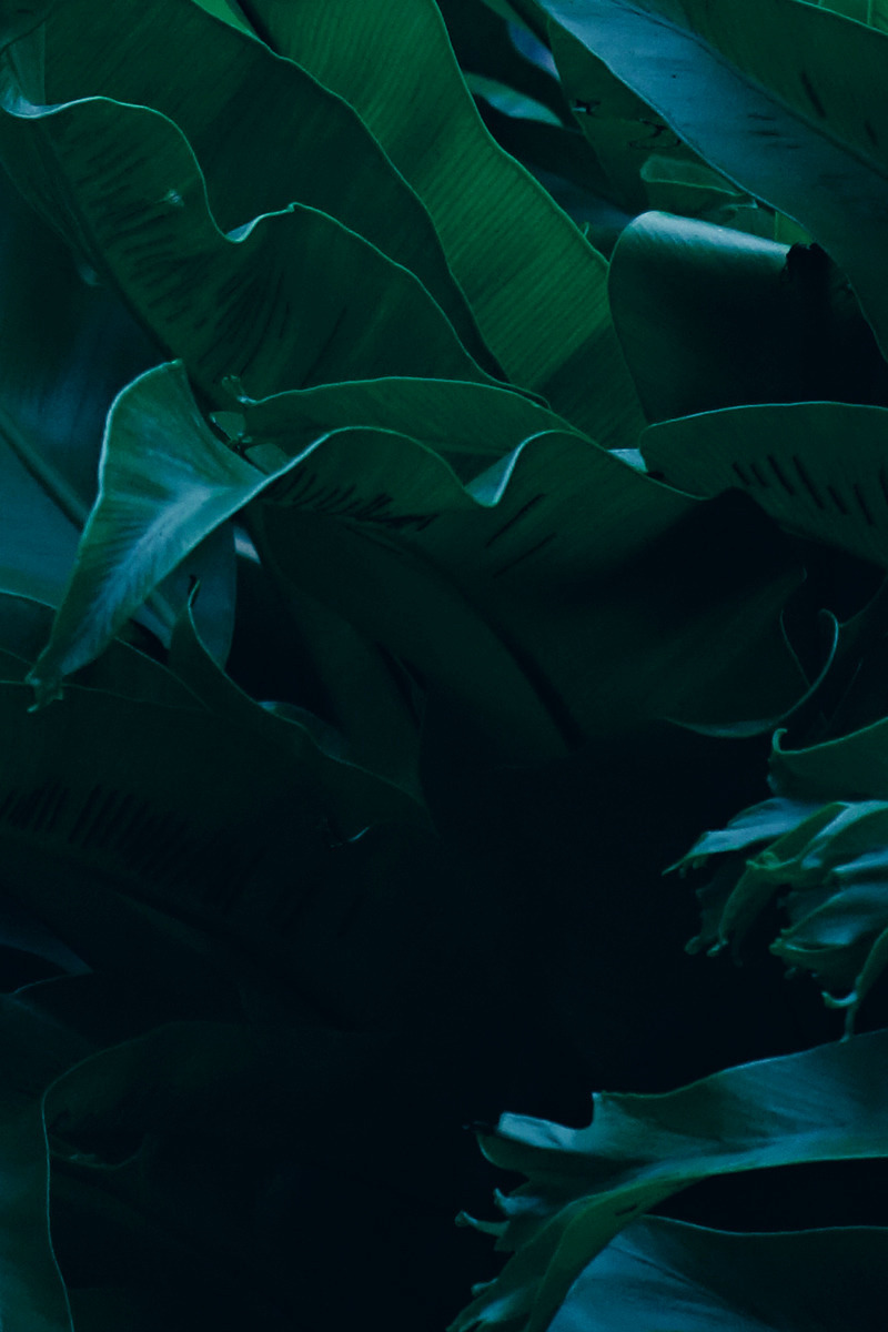 Archillect ID 403772