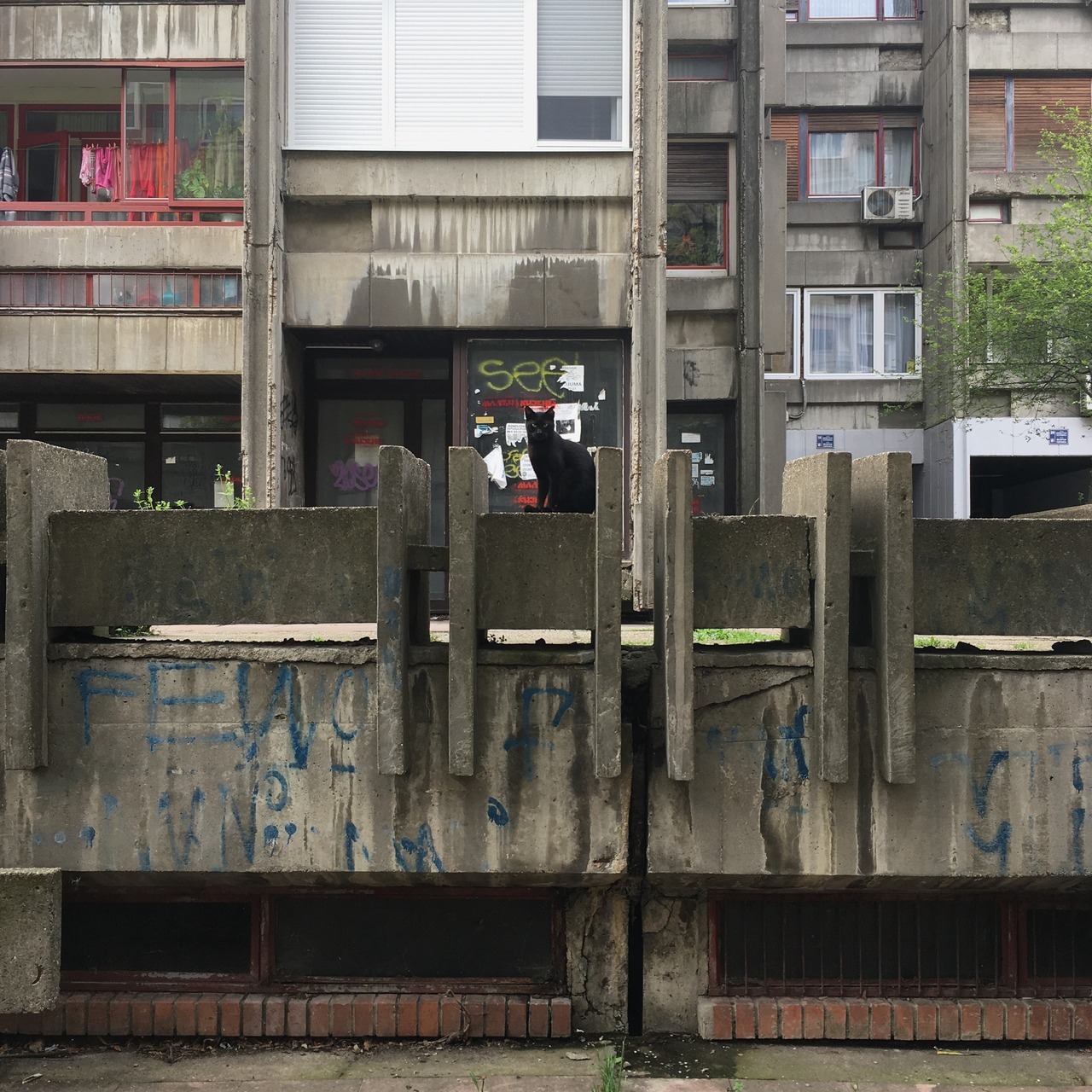 Archillect ID 403774