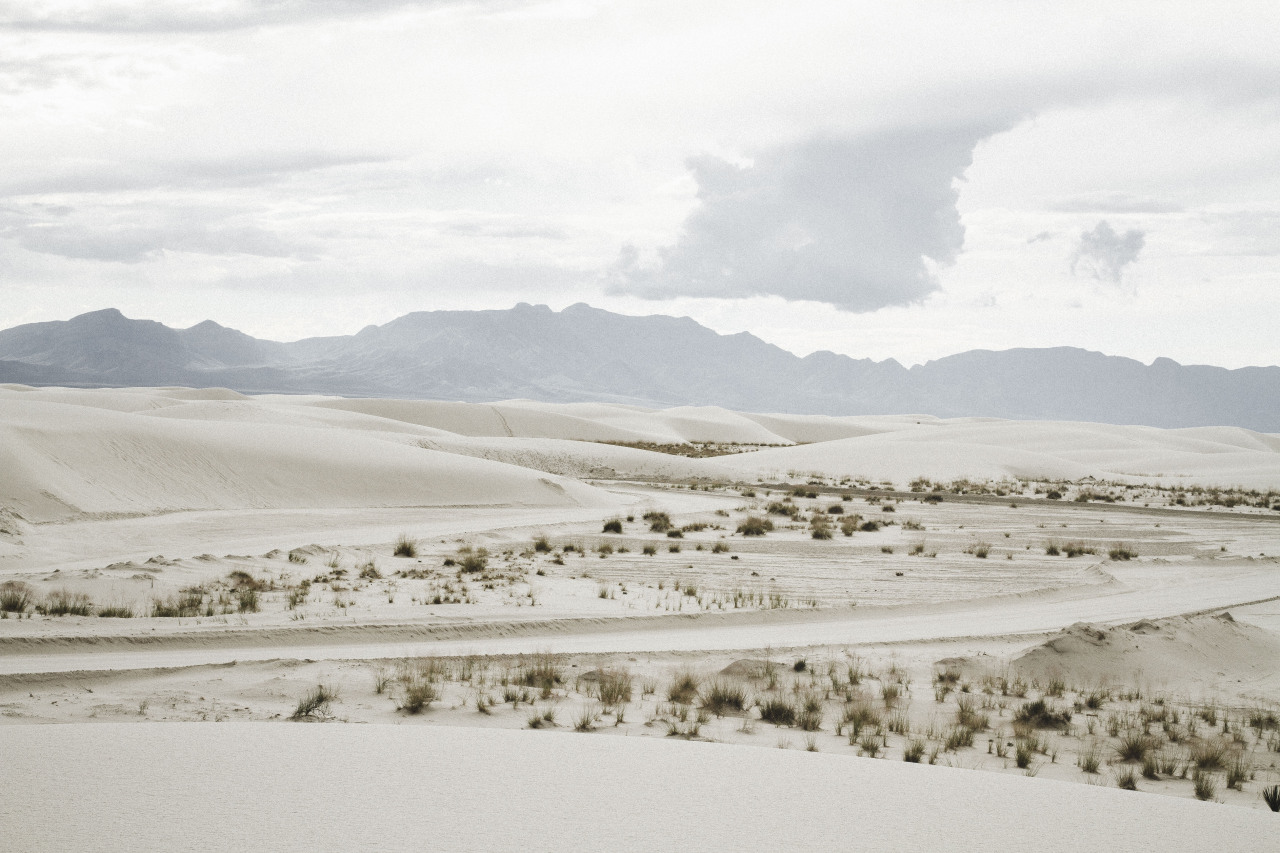 Archillect ID 403816