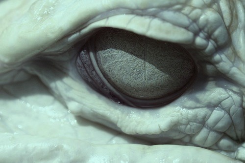 Archillect ID 403845