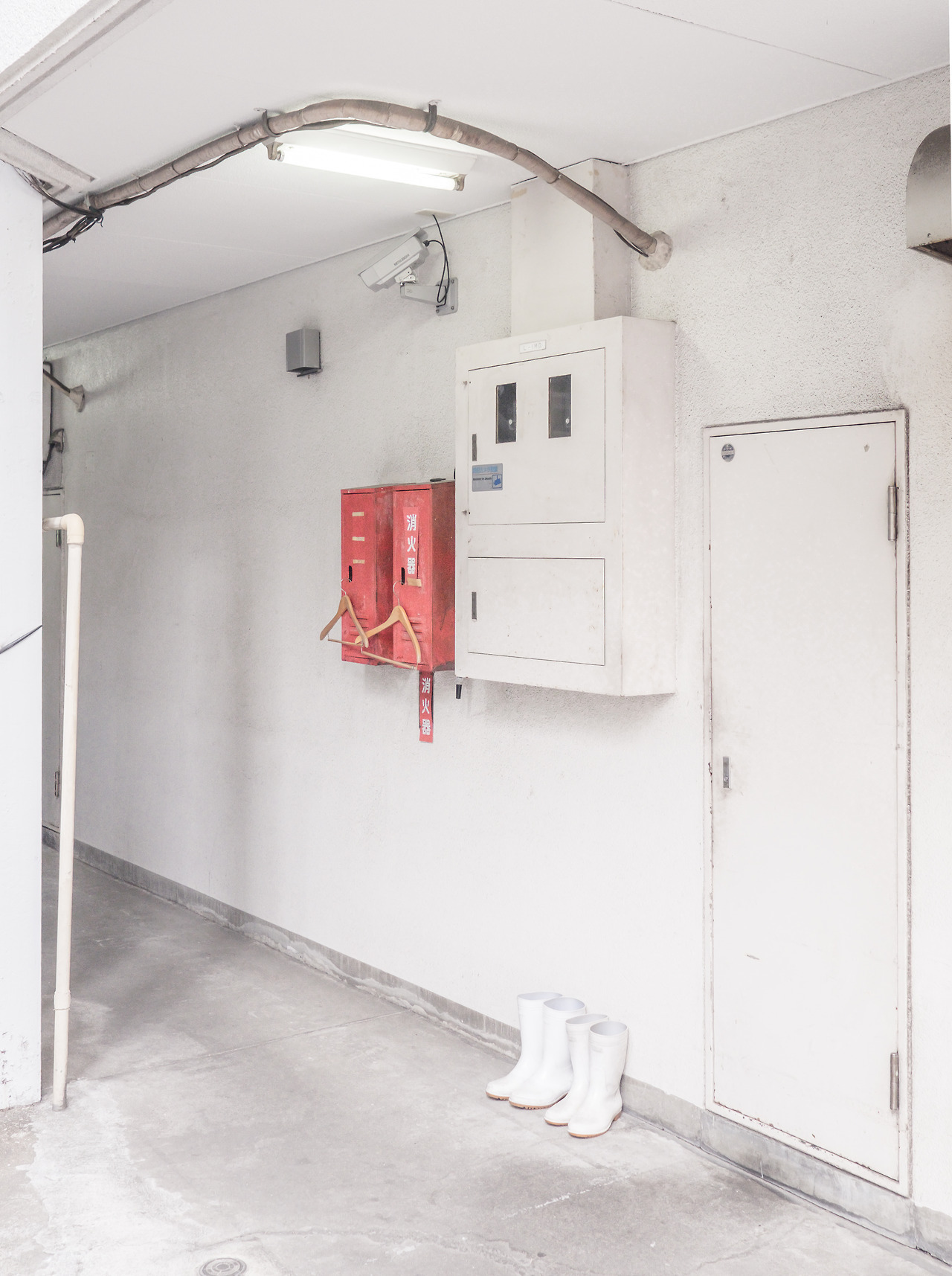 Archillect ID 403862