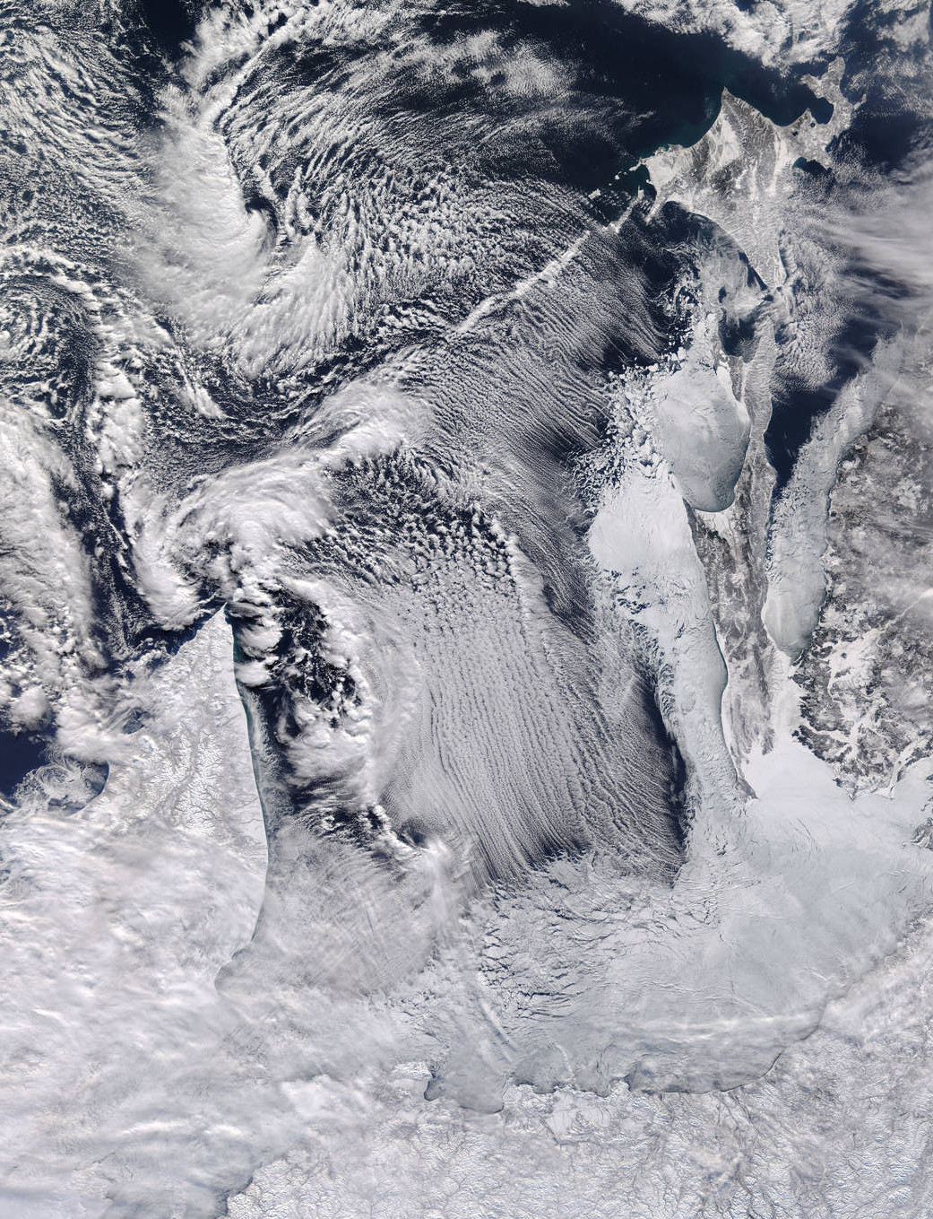 Archillect ID 403911