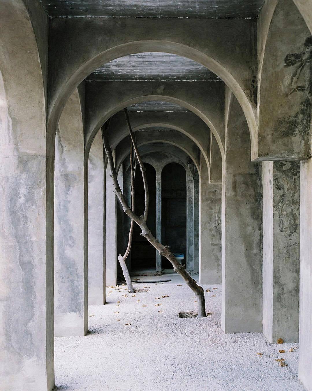 Archillect ID 403962