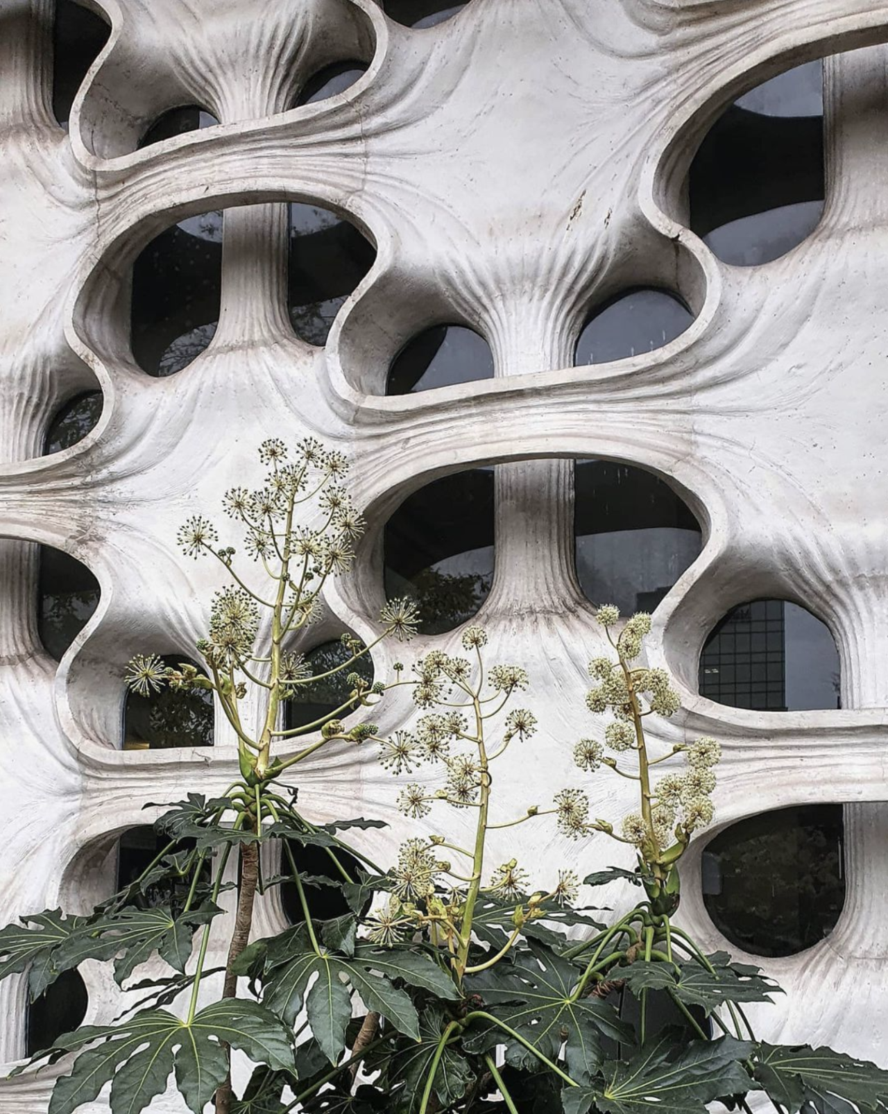 Archillect ID 403987