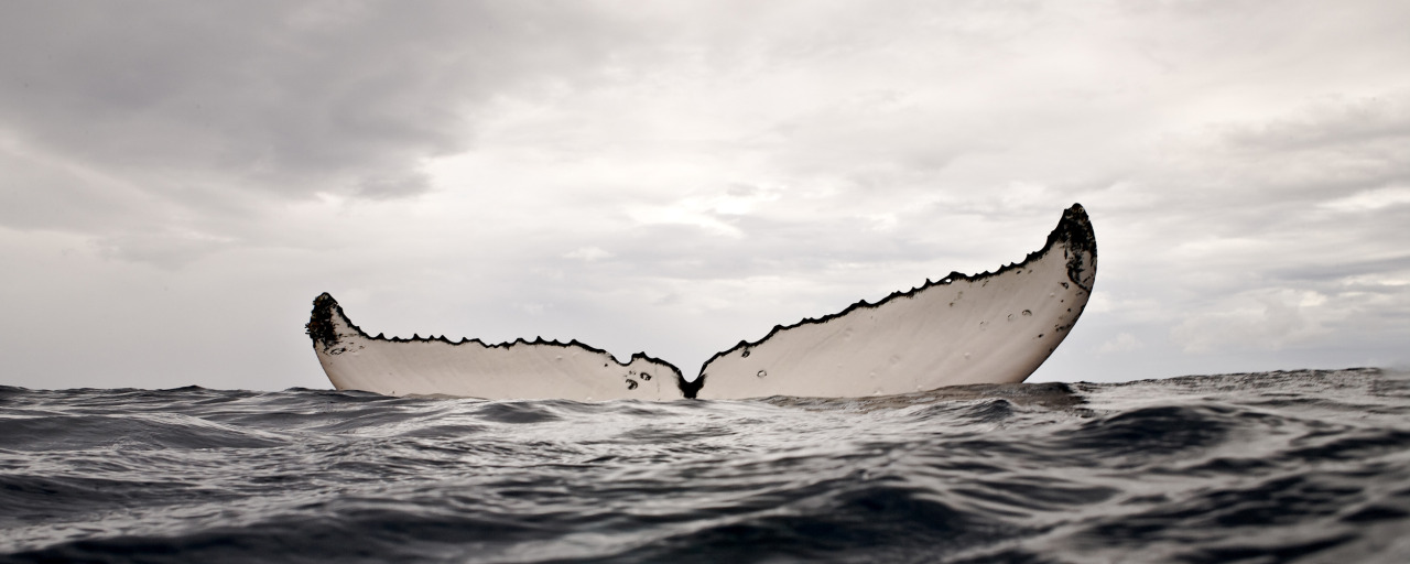 Archillect ID 403998