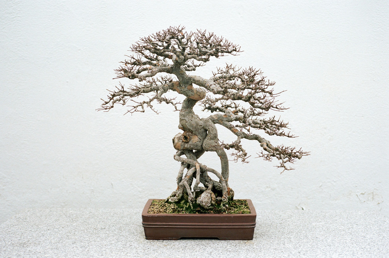 Archillect ID 404001