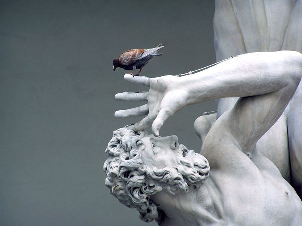 Archillect ID 404046