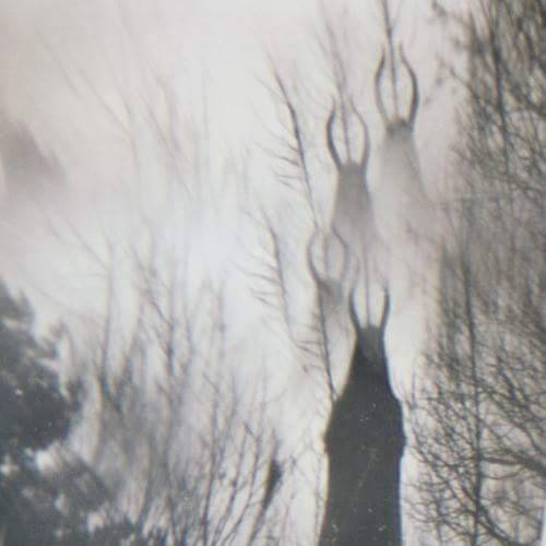 Archillect ID 404056