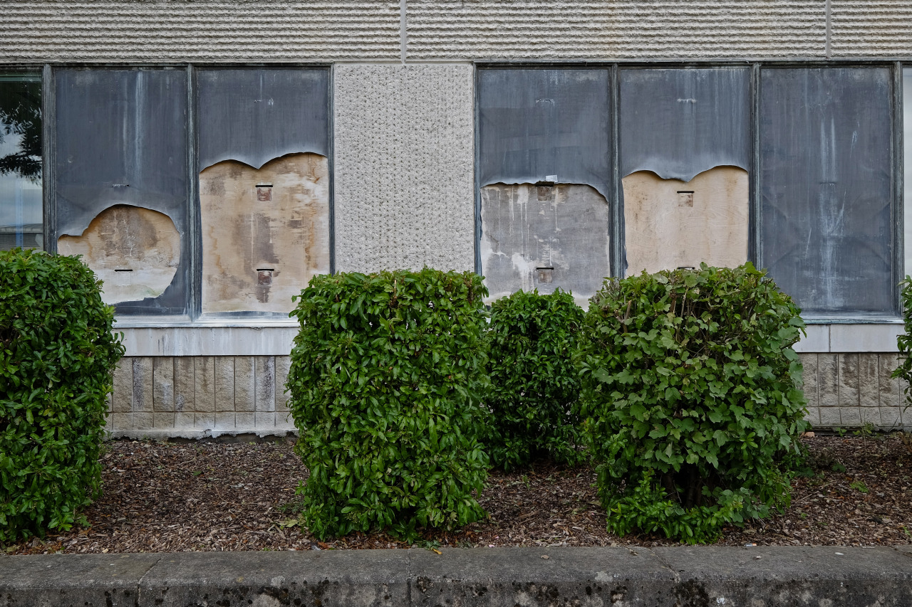 Archillect ID 404073